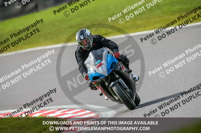 Oulton Park 21st March 2020;PJ Motorsport Photography 2020;anglesey;brands hatch;cadwell park;croft;donington park;enduro digital images;event digital images;eventdigitalimages;mallory;no limits;oulton park;peter wileman photography;racing digital images;silverstone;snetterton;trackday digital images;trackday photos;vmcc banbury run;welsh 2 day enduro